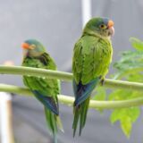 Photographs Photographs